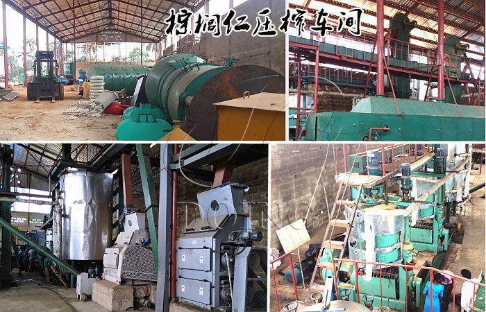 棕櫚仁油生產(chǎn)項目