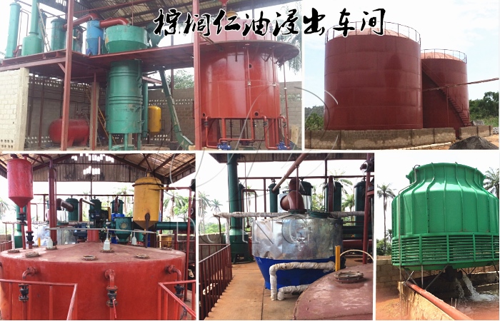 棕櫚仁油生產(chǎn)項目